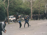 gal/2000-2001/_thb_partizan_zvezda_fight1.jpg